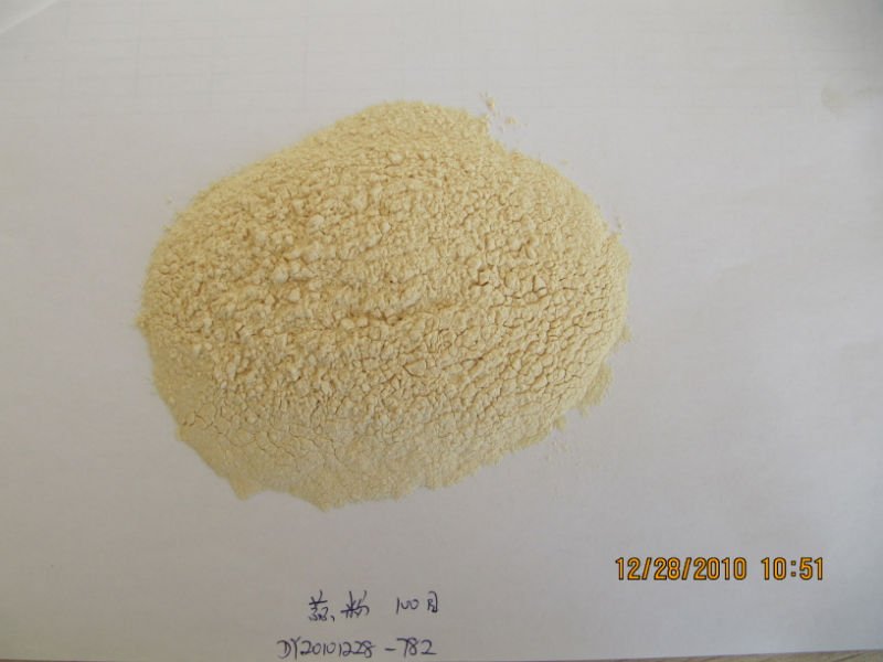 2011 new crop Dehydrated  garlic flake 2.0-3.0 mm