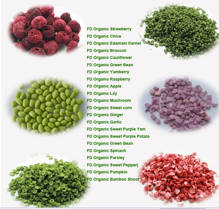 catalog2
