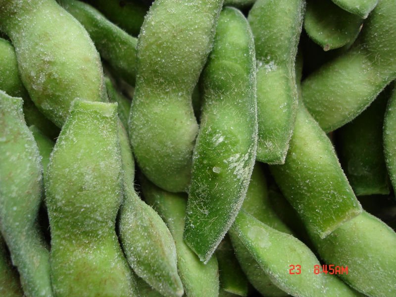 IQF edamame