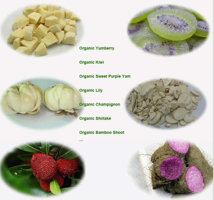 catalog5.jpg