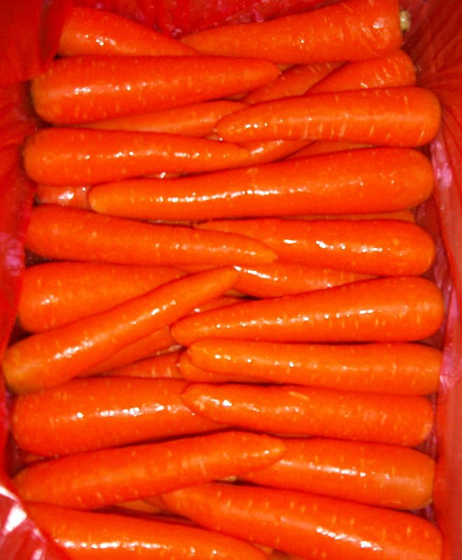 100_4405.jpg