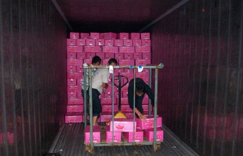 100_5078.jpg