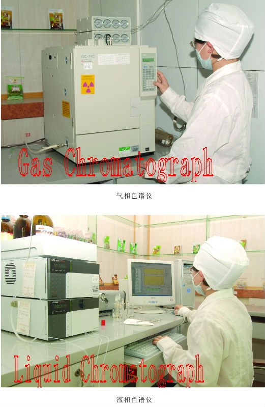 Liquid Chromatograph and Gas Chromatograph.jpg