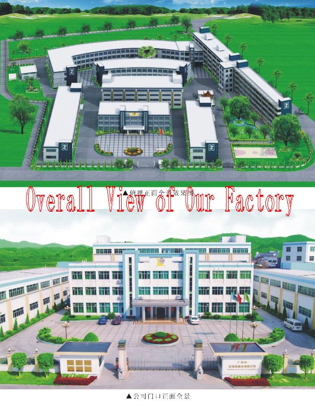 Overall View of Our Factory.jpg