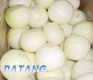 fresh yellow onion.jpg