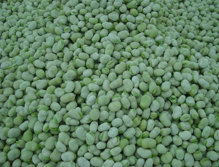 broad beans.jpg