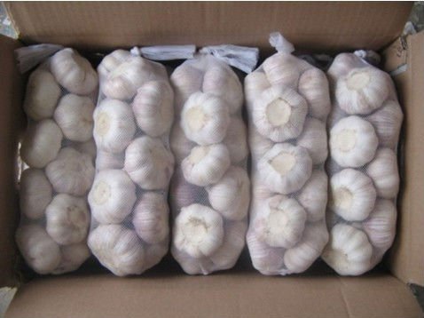 5kg carton 2