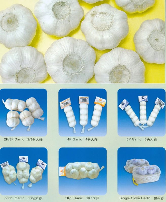 20086217526283