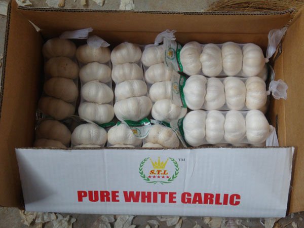 pure white16.jpg