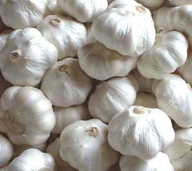 garlic 11.jpg