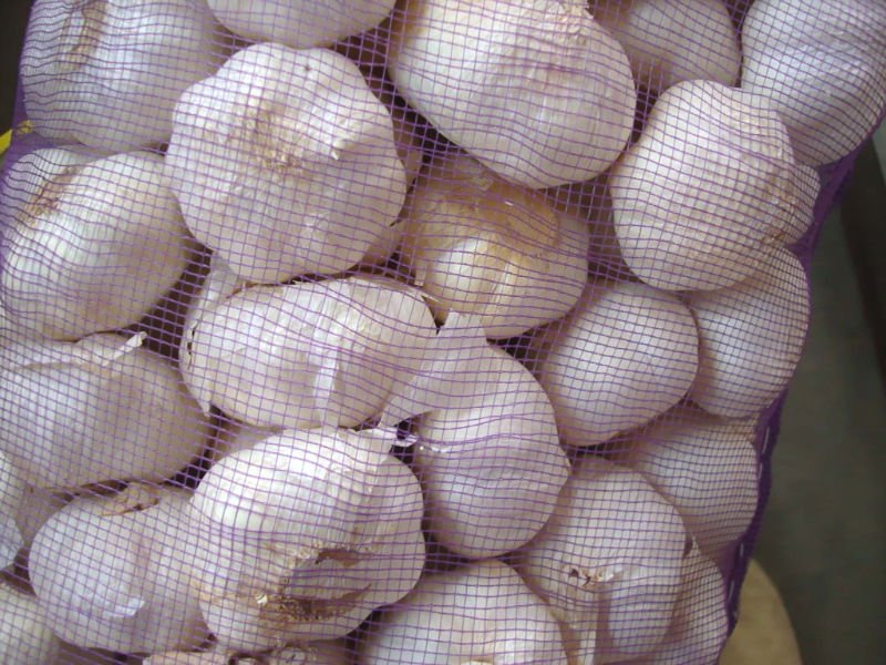 DSC08562.JPG