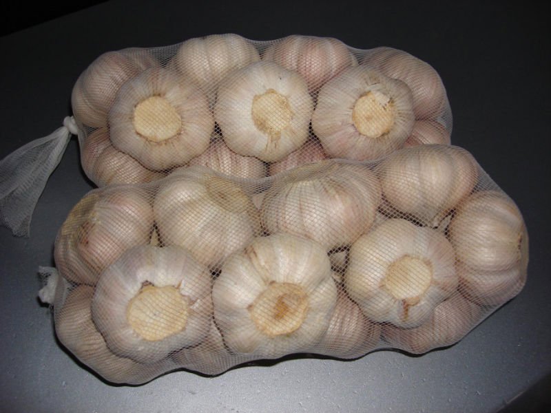 DSC00027