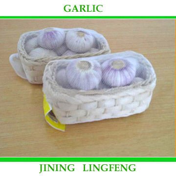 garlic11