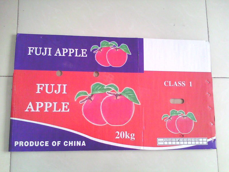 IMG0027A.jpg
