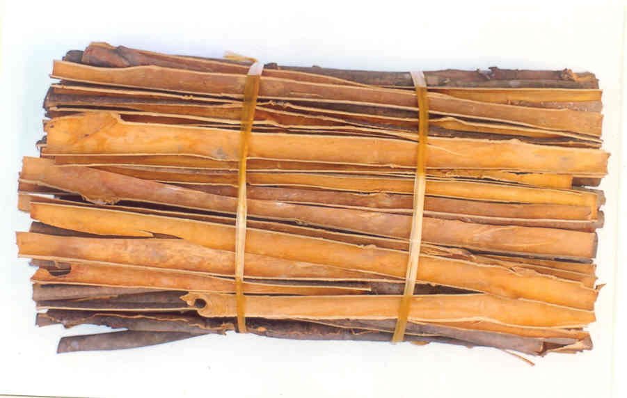 Cassia split 1 (1)