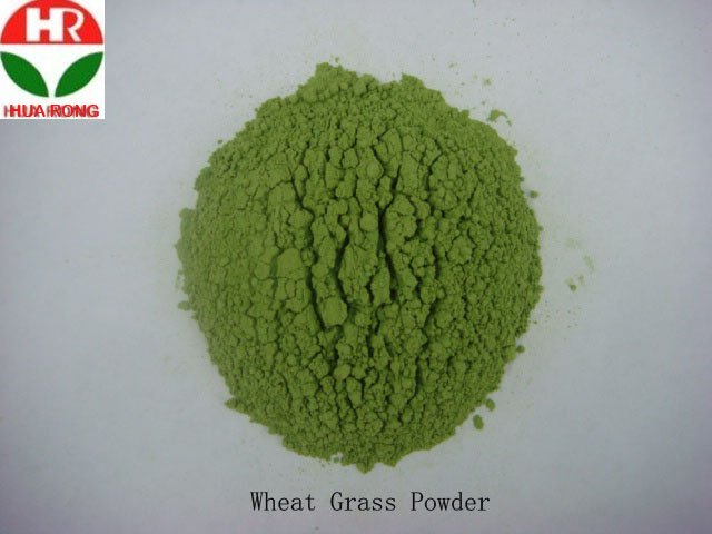 wheat grass powder.jpg