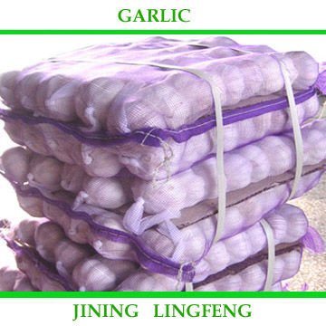 garlic2