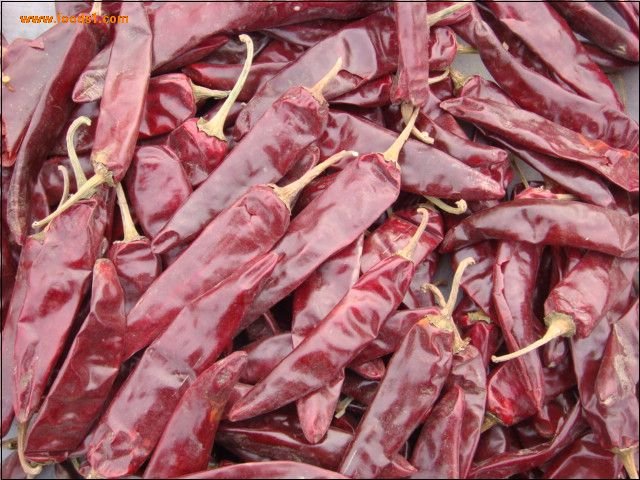 dry jinta chili