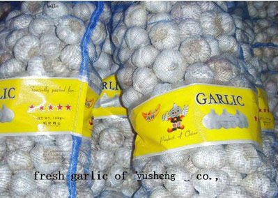 10kg mesh bag