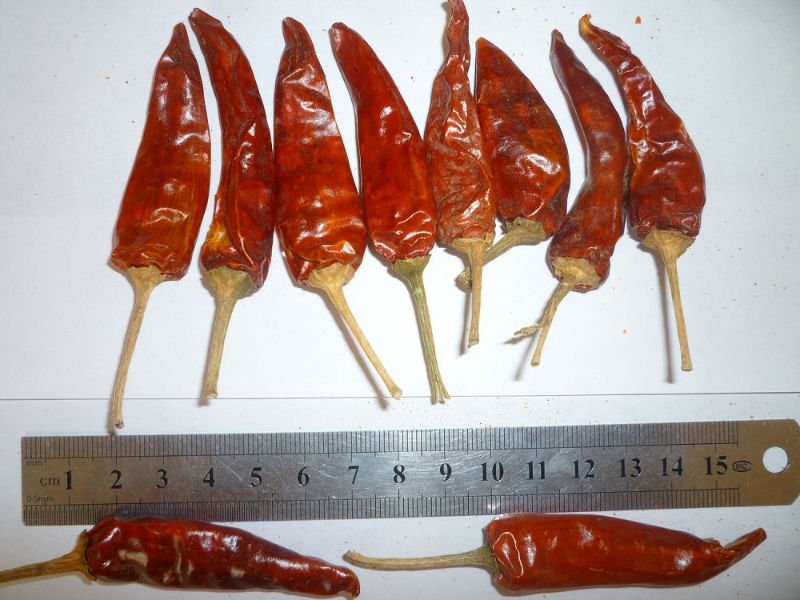 5.JPG
