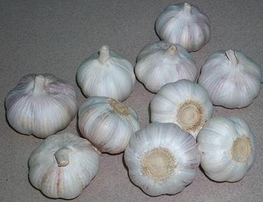 2007811434570