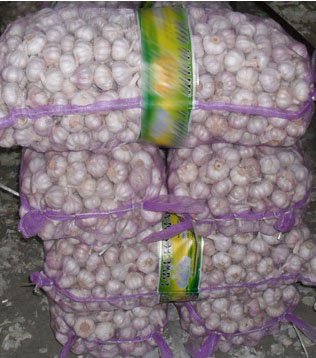20kg mesh bag