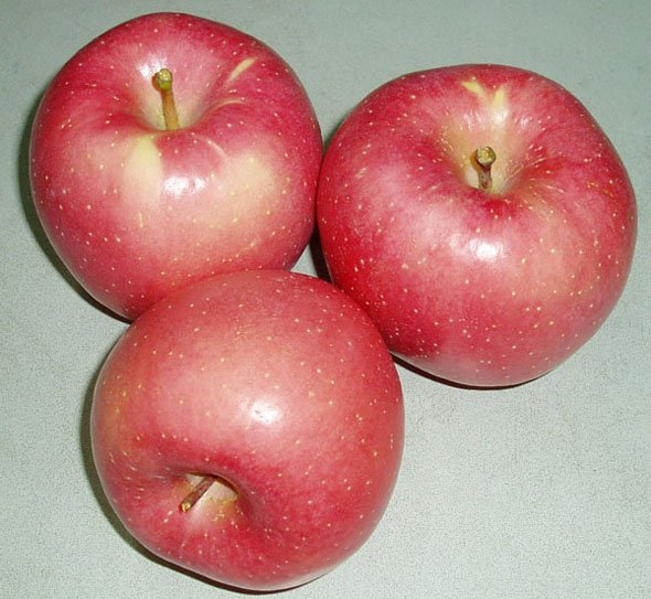 Red_Star_Apple