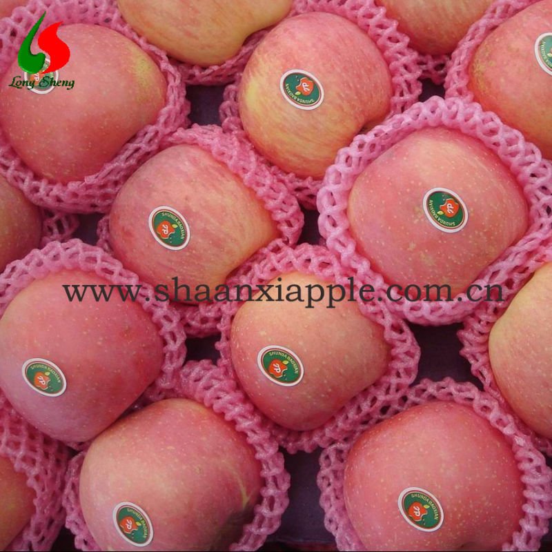 FUJI APPLE
