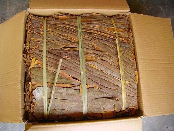80K  cinnamon whole pressed.jpg