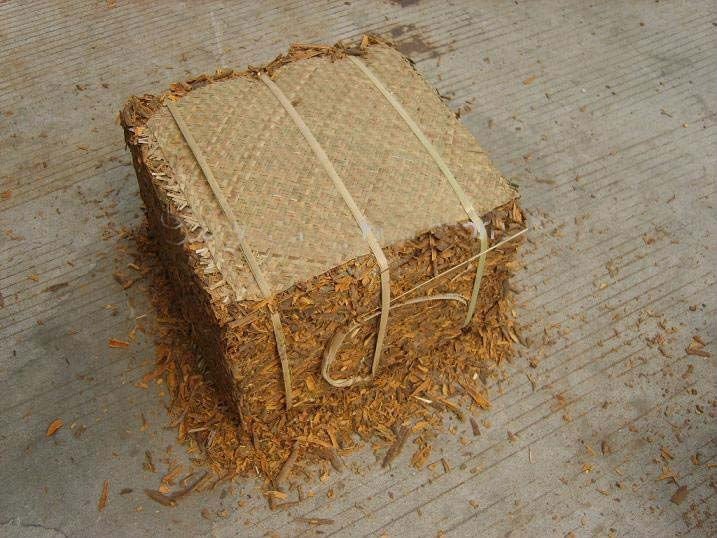 cassia broken pressed 001.JPG