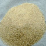 Garlic_granule.jpg