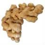 ginger02