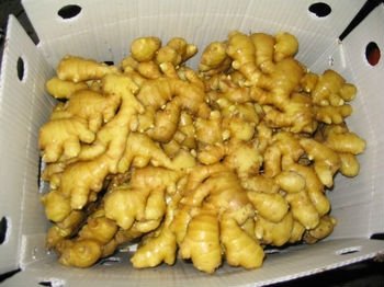 153005_1.jpg