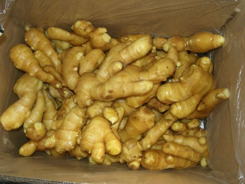 373904650_525.jpg