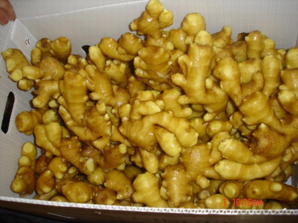 wangfeng32$423204725