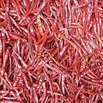 Chilli without stem