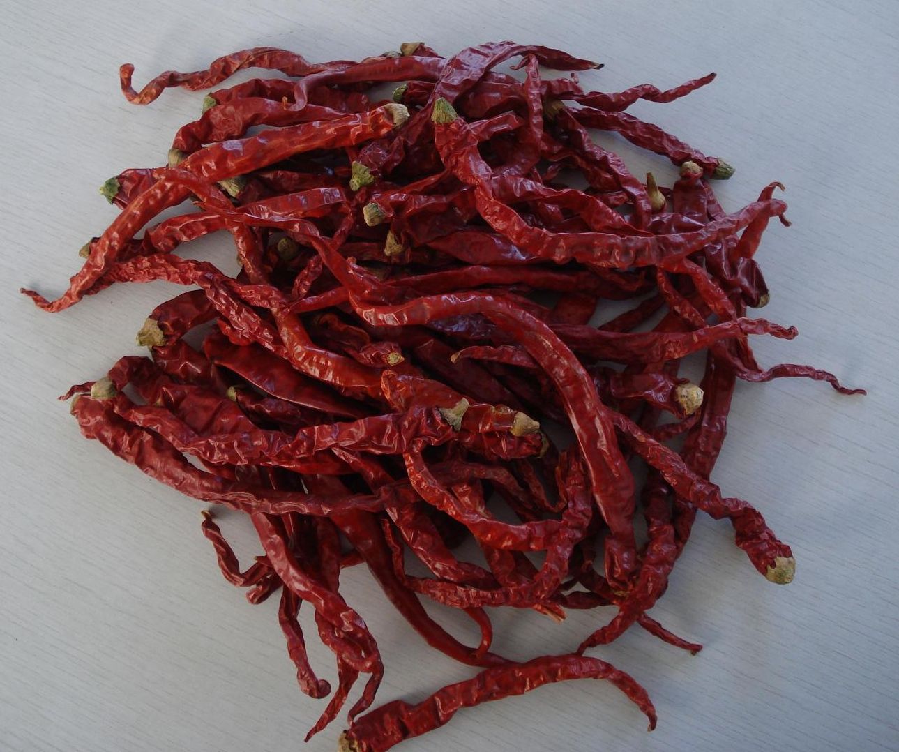 xian chili.jpg