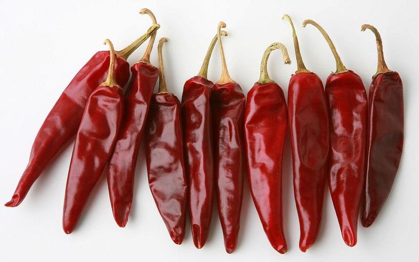Jinta chili\'