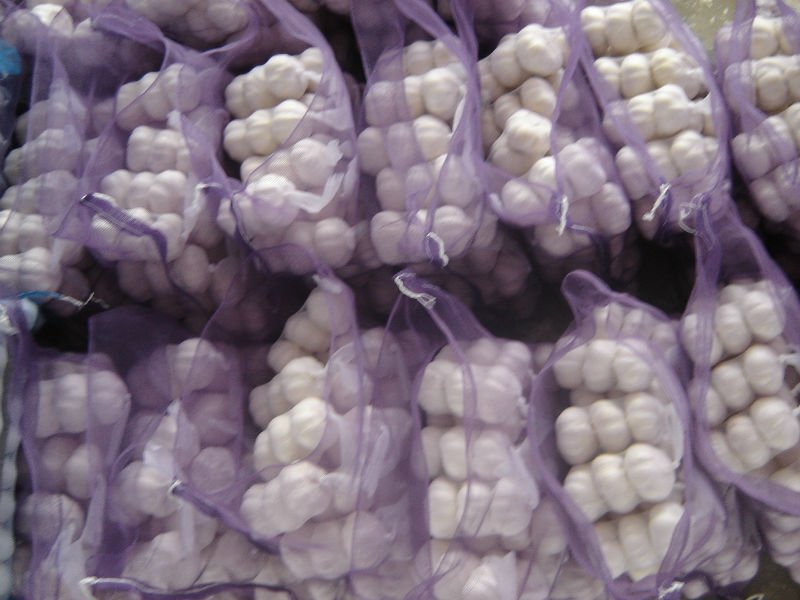 10kg big mesh pure white garlic.JPG