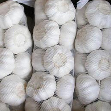 white_garlic.jpg