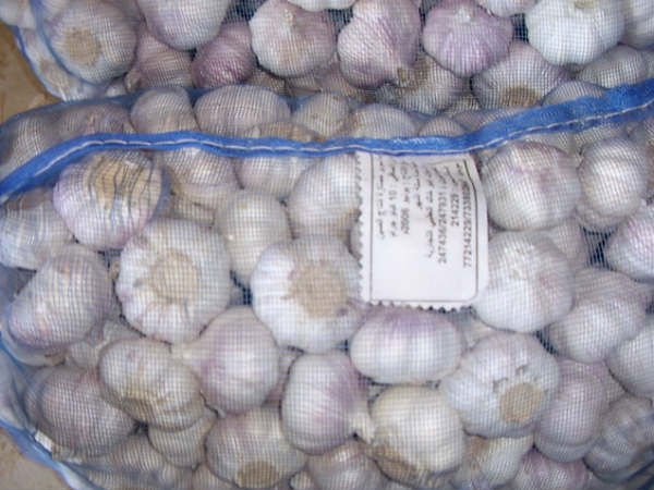 mesh bag garlic