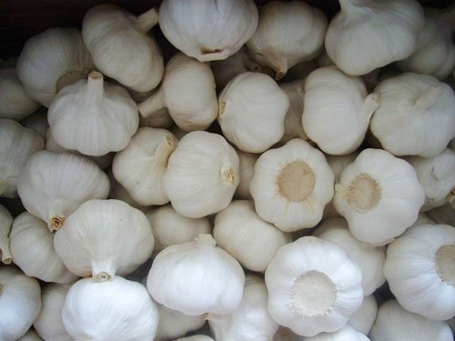 pure white21.jpg