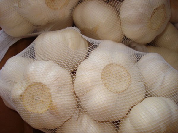 pure white7.jpg