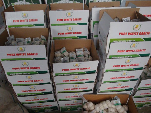 pure white17.jpg