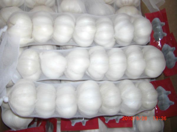 pure white3.jpg