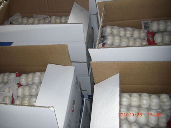 pure white5.jpg