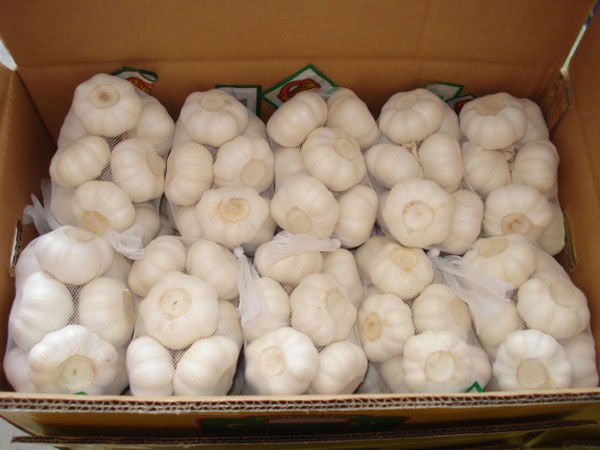 pure white6.jpg
