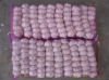 qingshan_garlic_summCA9T2TER.jpg