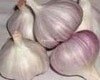 China_red_garlic2_summ.jpg