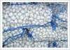 Qingshan_garlic_summCA0R5IHT.jpg